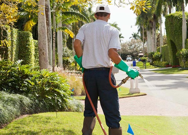 About Nerstrand MN Pest Control